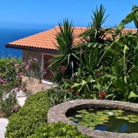 Pietra Fiorita Cottage Pisciotta Exterior photo