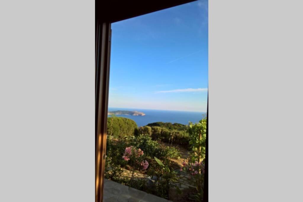 Pietra Fiorita Cottage Pisciotta Exterior photo